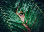 Regard d'une femme sur le monde