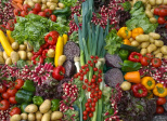 Les préjugés sur la nourriture sont "sans faim".