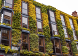 Embracing Greenery in Small Spaces 