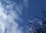 Symbolique du papillon (1) : Envol