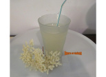Boisson fermentée aux fleurs de sureau - Socata
