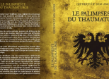 "Le Palimpseste du Thaumaturge" est enfin disponible.