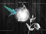 L ’Hellébore et le Colibri