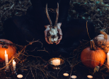 Quand la science s’intéresse aux potions des sorcières
