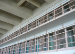 Le prisonnier
