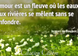 Amour