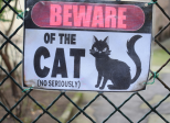 L'affaire du Chat perché...