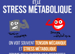 La tension mécanique et le stress métabolique