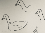 Merveille de l’évolution naturelle