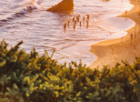 Covid-19 : plages interdites !