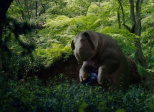 Okja (Ok-ja, Bong Joon-ho, 2017)