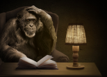 Le singe