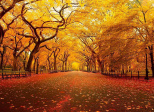 An Autumn Meditation Of Gratitude