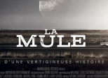 La Mule