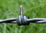 PAR DELA LES FRONTIERES