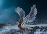 L'envol de l'ange