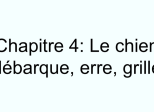 Chapitre 4: Le chien débarque, erre, grille