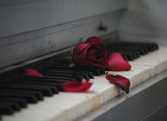 Le silence du piano