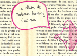 Les Lettres du chien