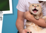 Chat-suffit