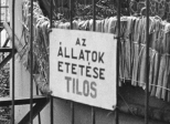 Az utolsó