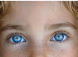 Les larmes bleues