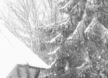 Première neige sur la Suisse normande ...