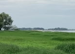 Catway 47 - Lac de la forêt d’Orient – Septembre