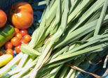 Le petit potager et les autres