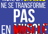 Non, la graisse ne se transforme PAS en muscle