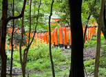 Haiku du printemps
