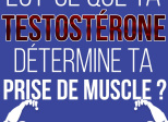 Est-ce que ta testostérone détermine ta prise de muscle ?