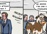 Oreillette, la super star du Salon de l'Agriculture !