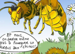 Partie 2 : La remise en question - Chap. 5 : Les espèces invasives
