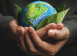 RCAE et assurance pour la protection environnementale des entreprises