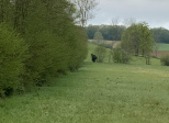 Large sorcière ou vieux vagabond