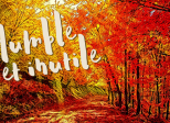 Humble et inutile