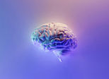 Être Haut Potentiel Intellectuel (HPI)