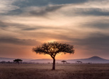 Paysages d'Afrique du Sud