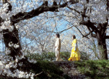 Dolls (Takeshi Kitano, 2002)