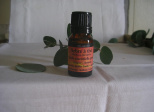 TEA TREE- Arbre à Thé