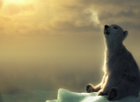 Partie 2 : Solitude