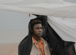 JOYAU FIDELE