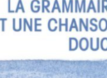 “La grammaire est une chanson douce”, livre d’Erik Orsenna