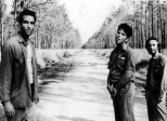 Down by Law (Jim Jarmusch, 1986)