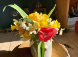 Votre bouquet du Dimanche 27 Mars 