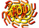 FOLIE FURIEUSE