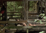 Old Joy (Kelly Reichardt, 2006)