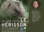 Le hérisson d'Europe