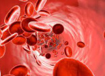 ROUGE EST LE SANG DES HOMMES